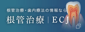 根管治療・歯内療法の情報なら 根幹治療　ECJ